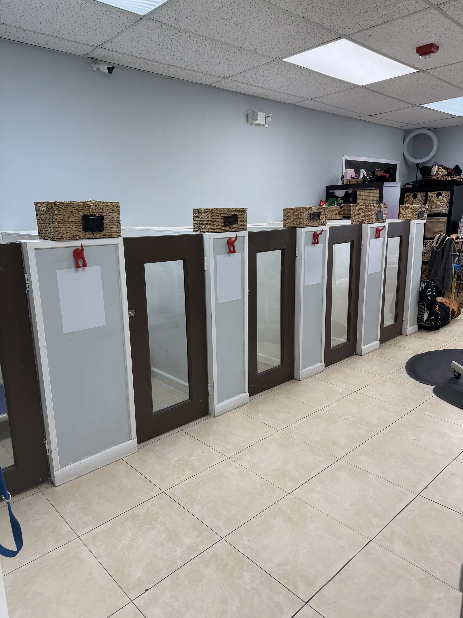 Established Pet Grooming and Boarding with Strong Clientele