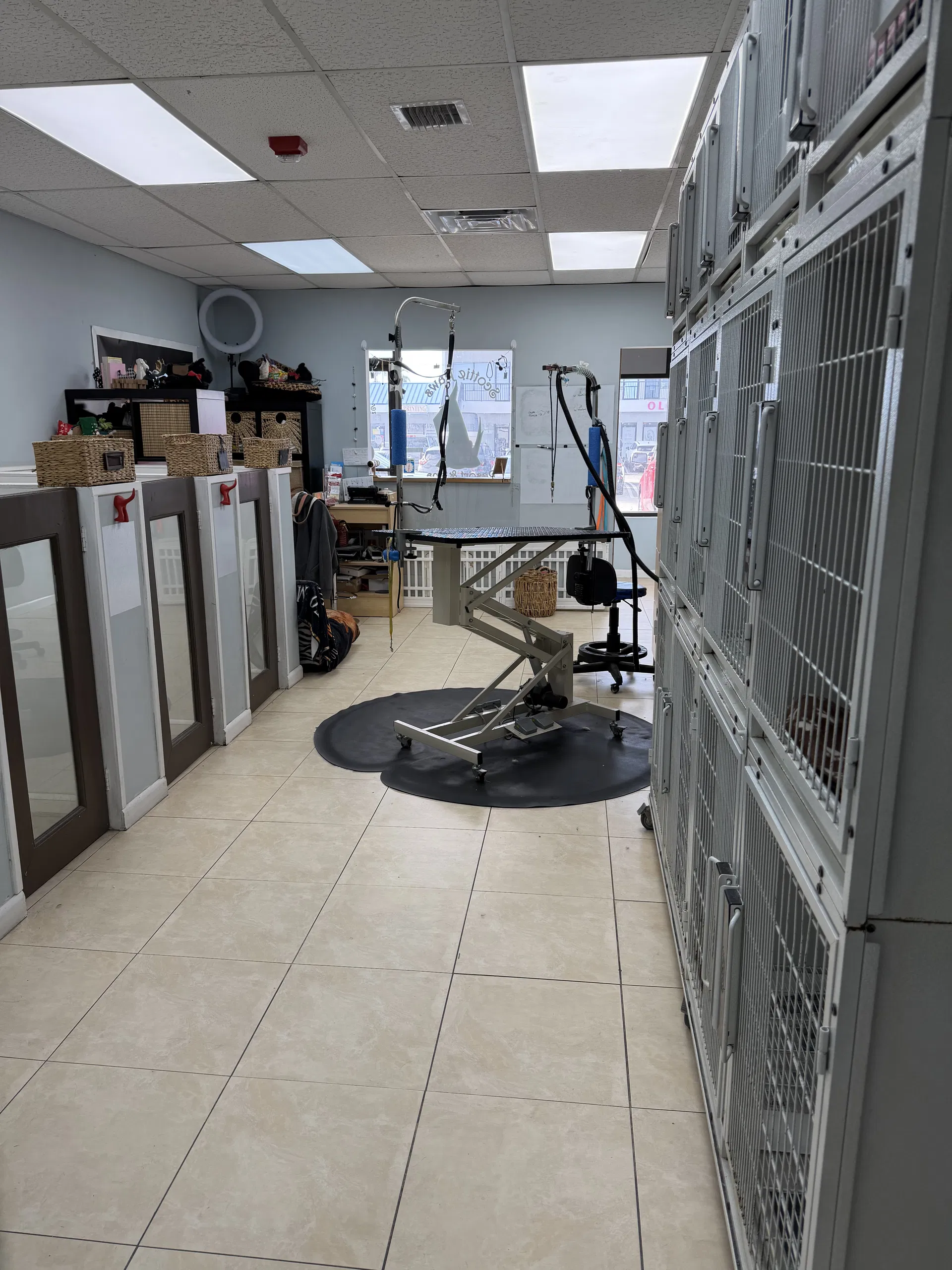 Established Pet Grooming and Boarding with Strong Clientele