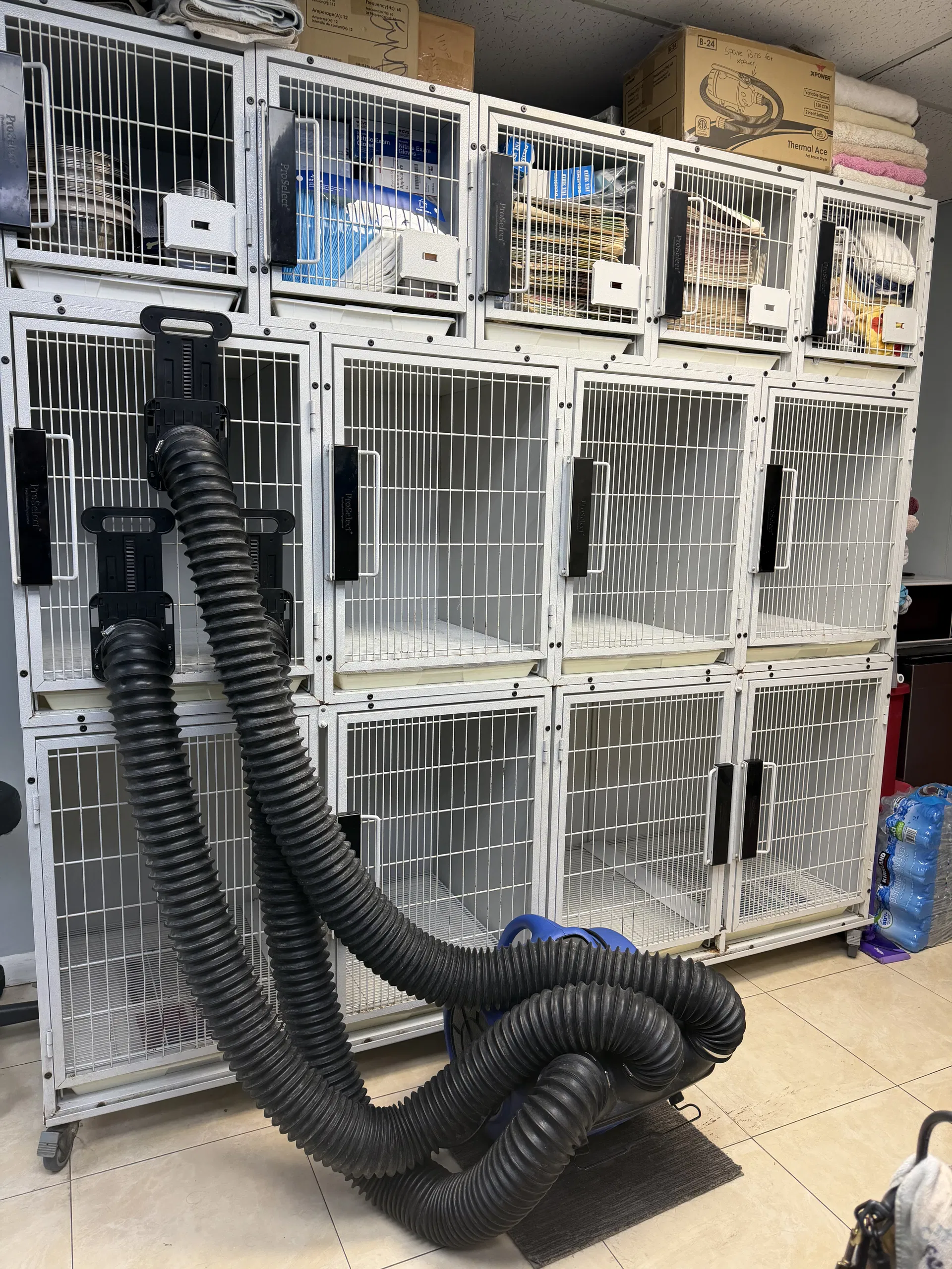 Established Pet Grooming and Boarding with Strong Clientele