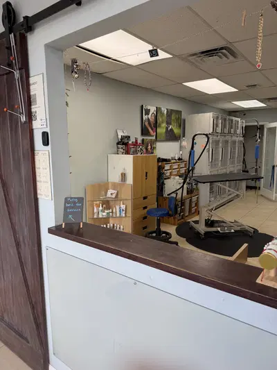 Established Pet Grooming and Boarding with Strong Clientele