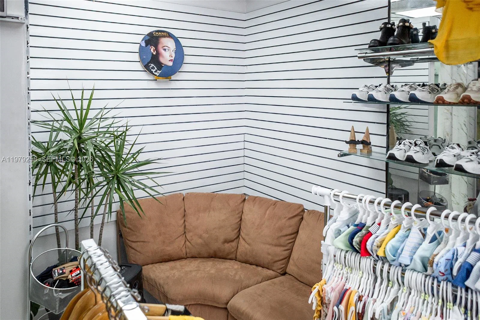 Profitable Retail Business with High Visibility on Calle 8