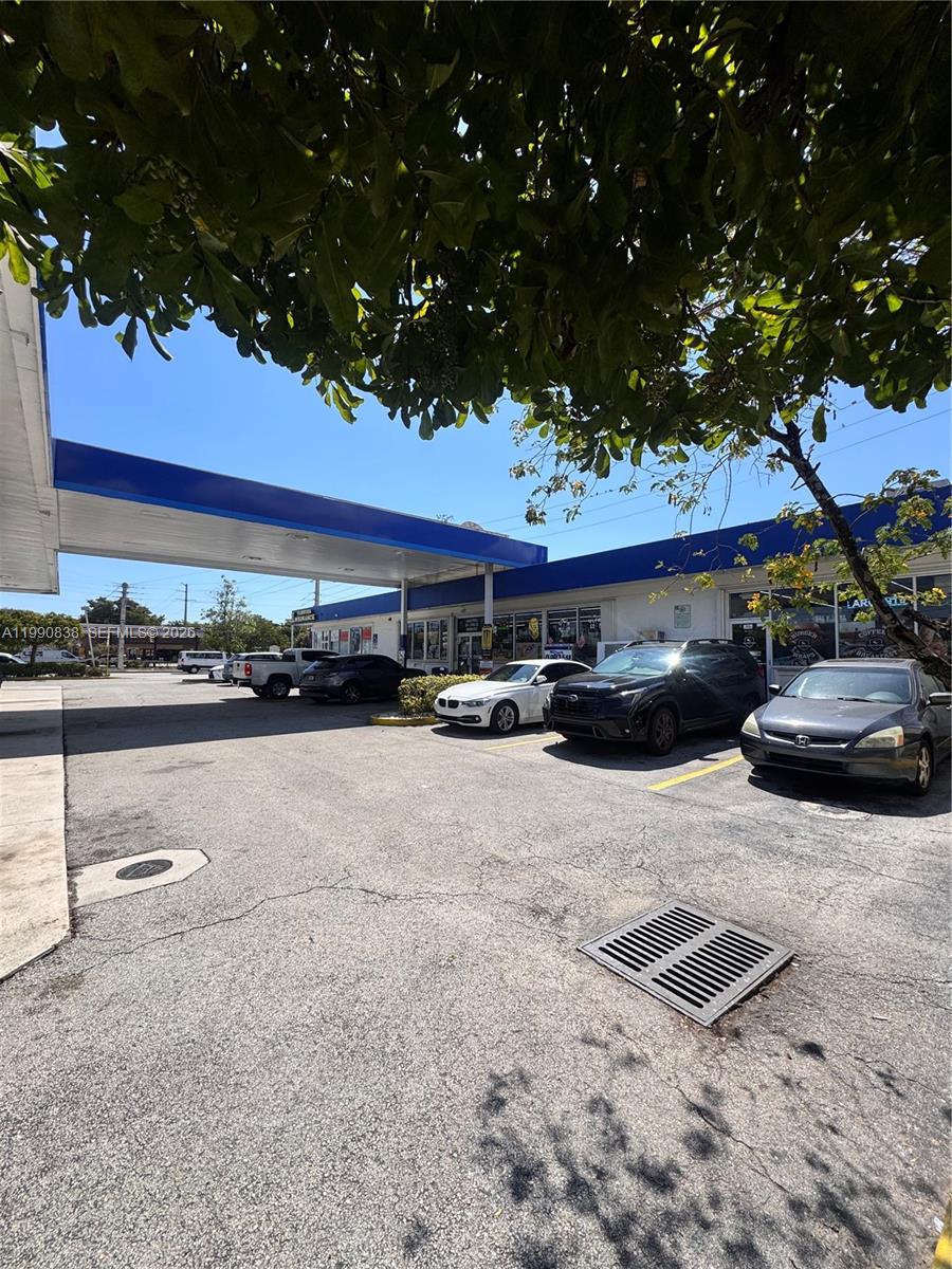 Profitable Cafe with Loyal Customer Base