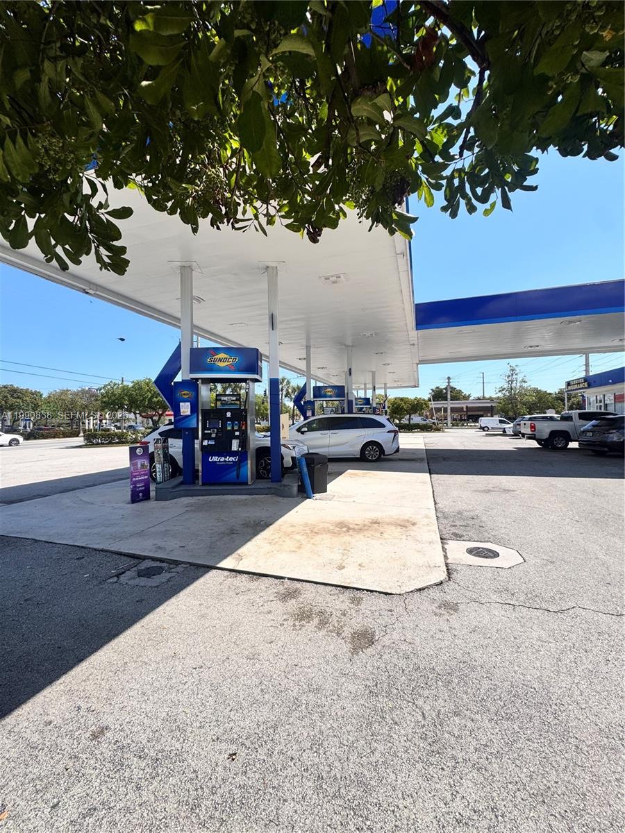 Profitable Cafe with Loyal Customer Base