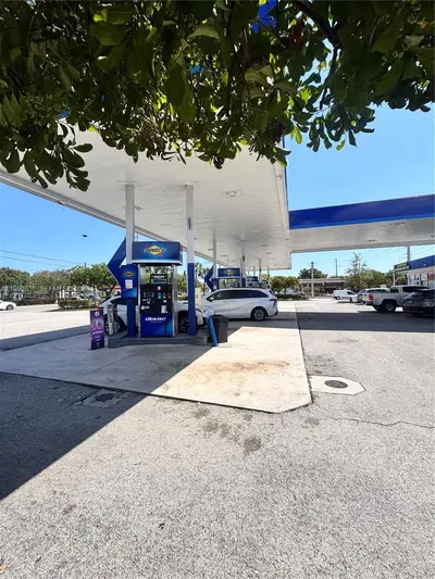 Profitable Cafe with Loyal Customer Base