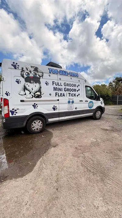 Established Business with Strong Monthly Income