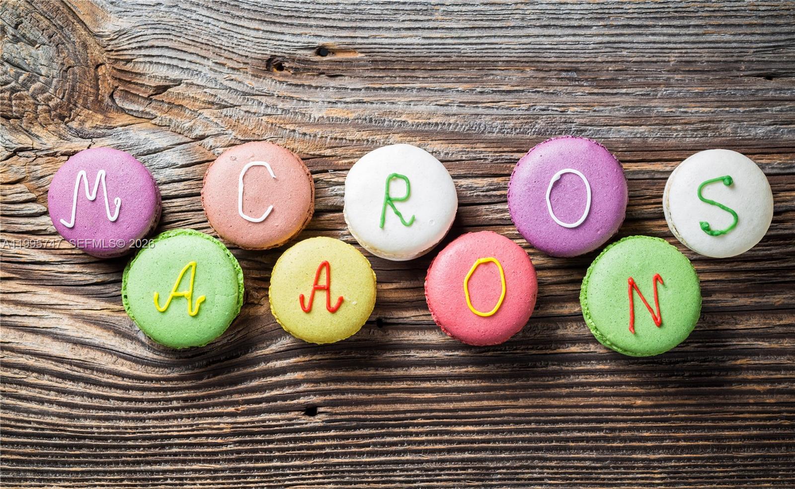 Established Miami Business with Strong Digital Presence