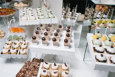 Established Miami Business with Strong Digital Presence