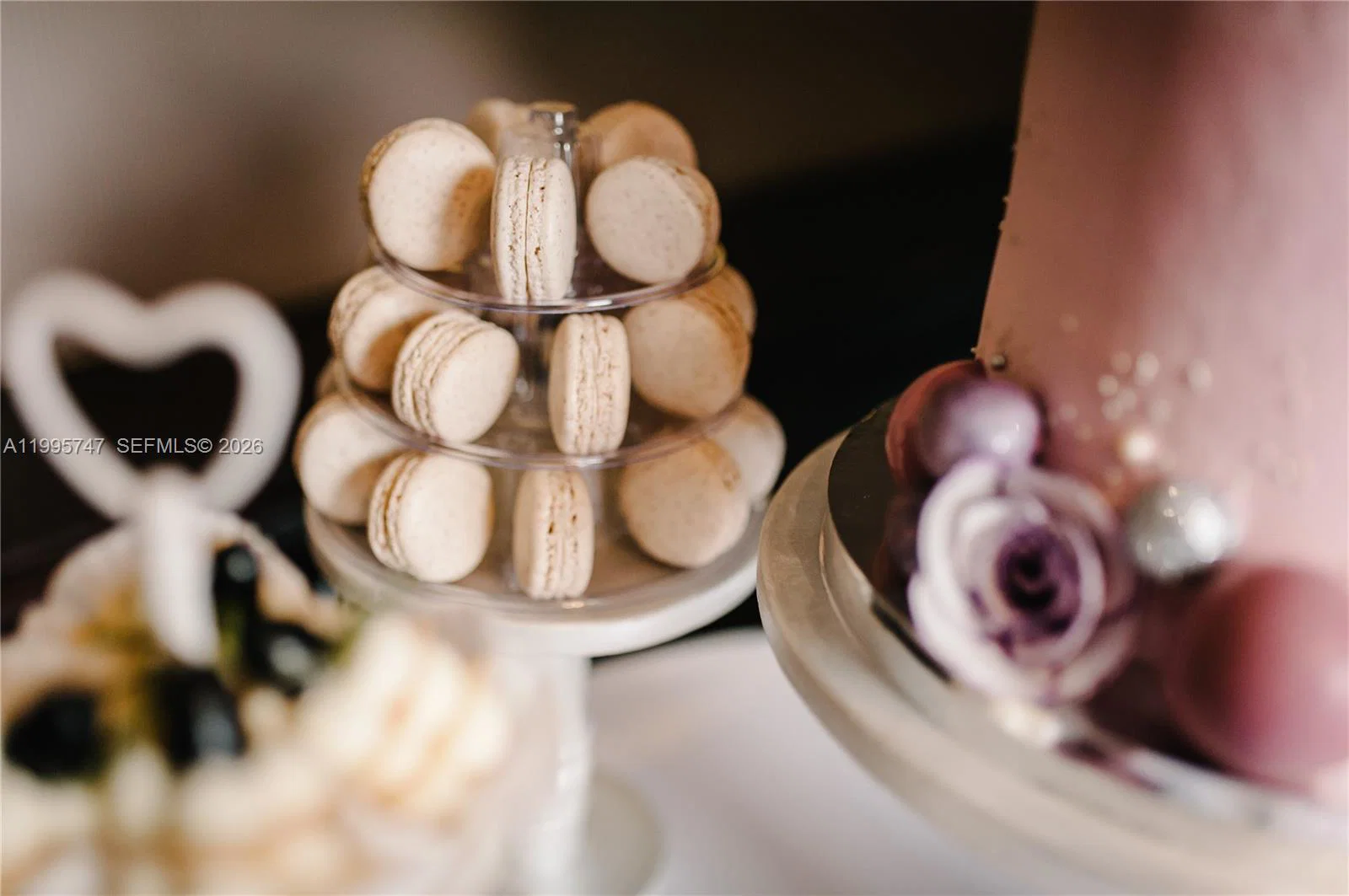 Established Miami Business with Strong Digital Presence