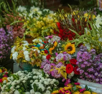 Established Floral Design Studio with Loyal Customer Base