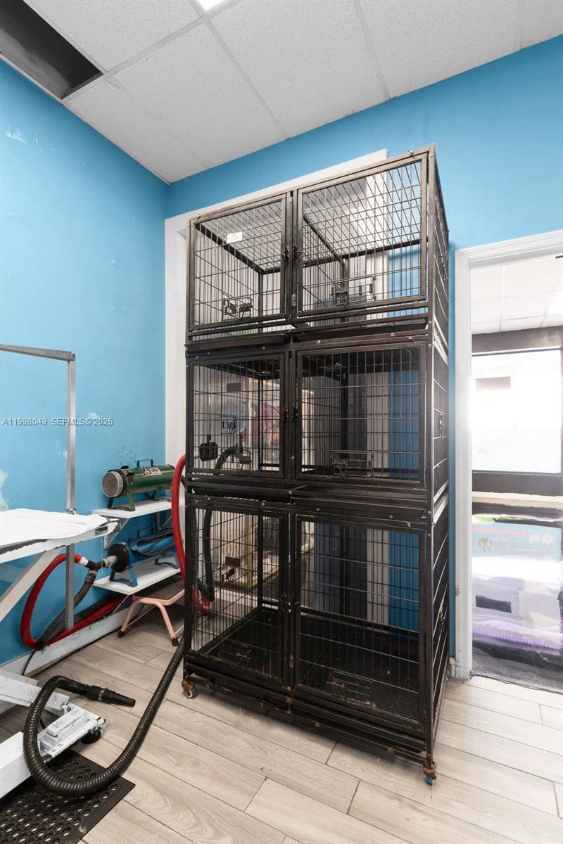 Established Pet Grooming Business with Loyal Client Base