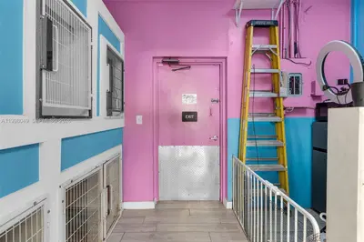 Established Pet Grooming Business with Loyal Client Base