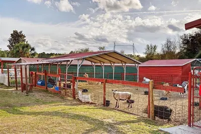 Established Petting Zoo with Extensive Animal Infrastructure