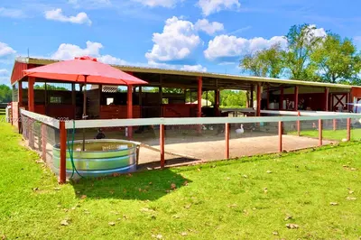 Established Petting Zoo with Extensive Animal Infrastructure