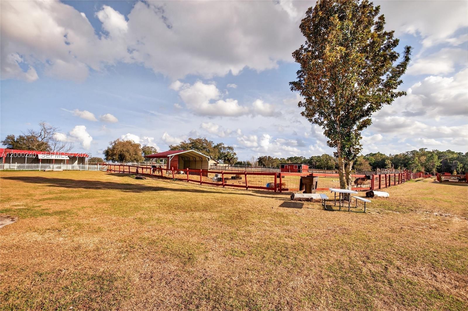 Established Petting Zoo with Extensive Animal Infrastructure