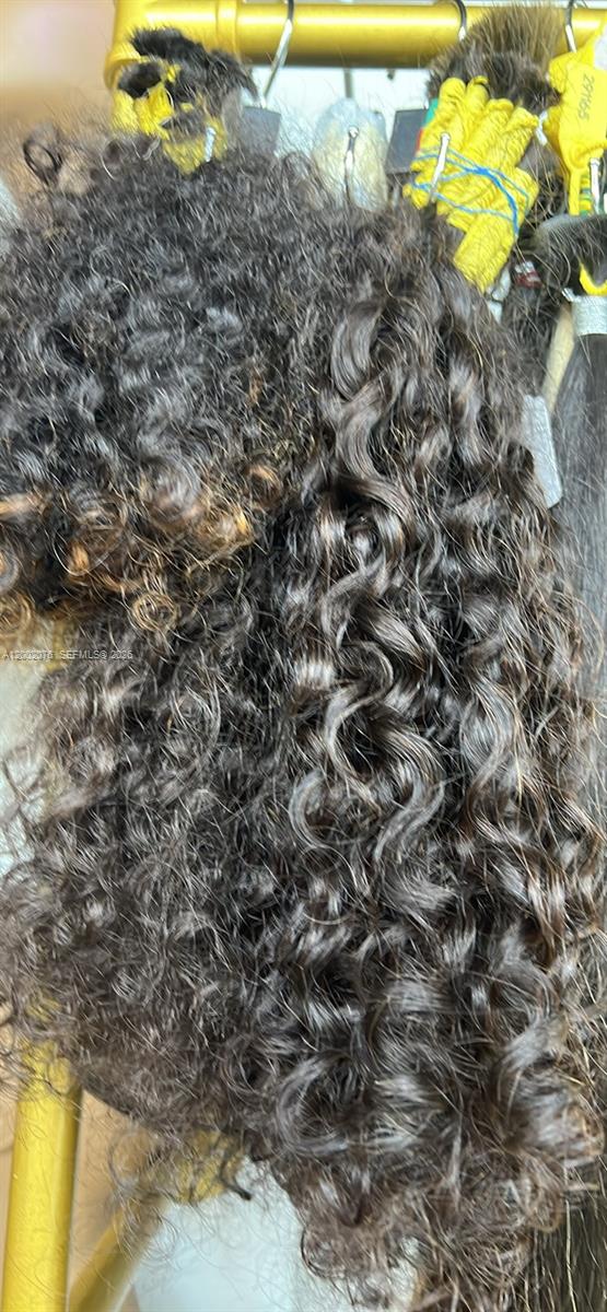 Turnkey Hair Extension and Wig Salon with Loyal Clientele