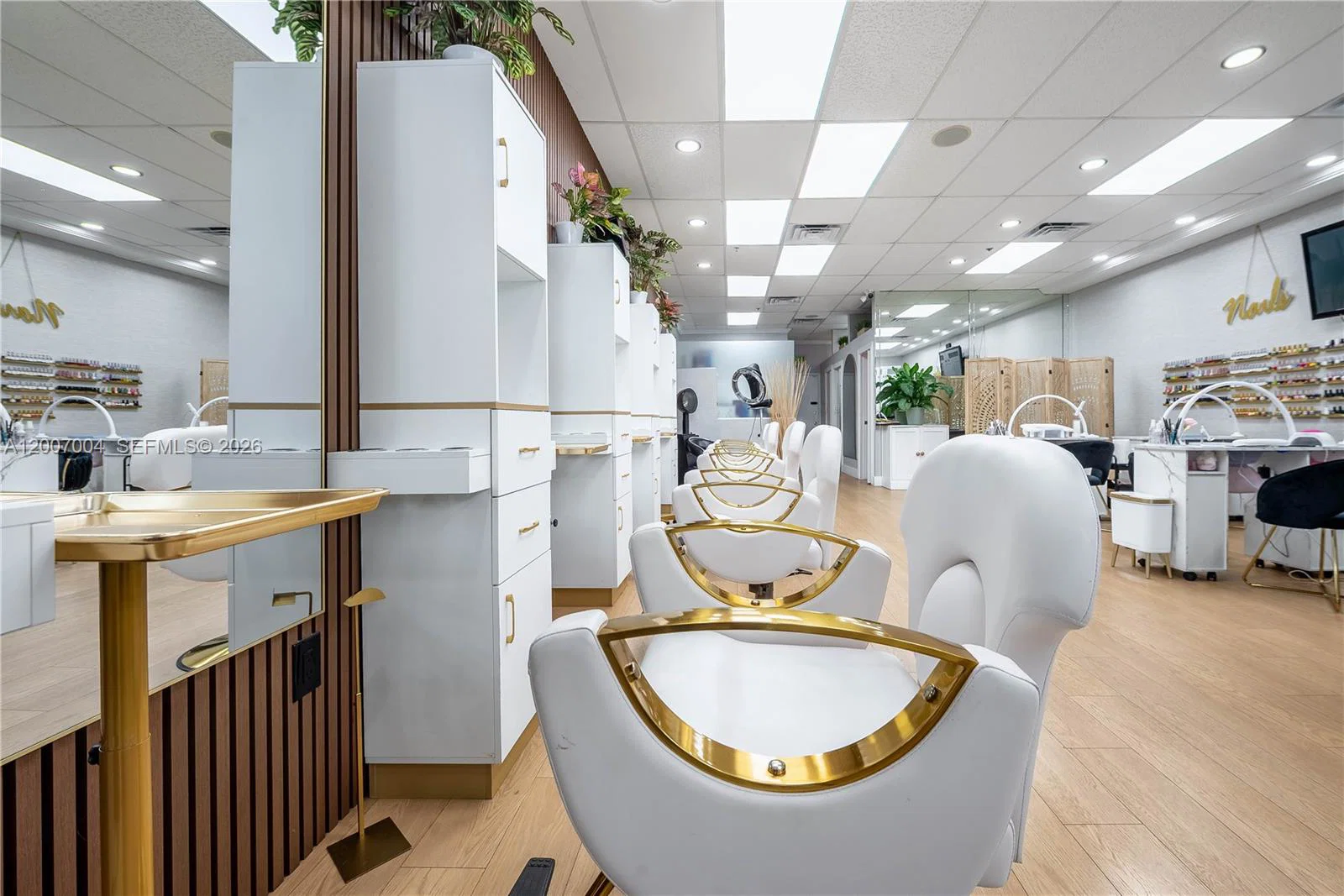 Luxury Salon Assets with High End Finishes and Custom Fixtures