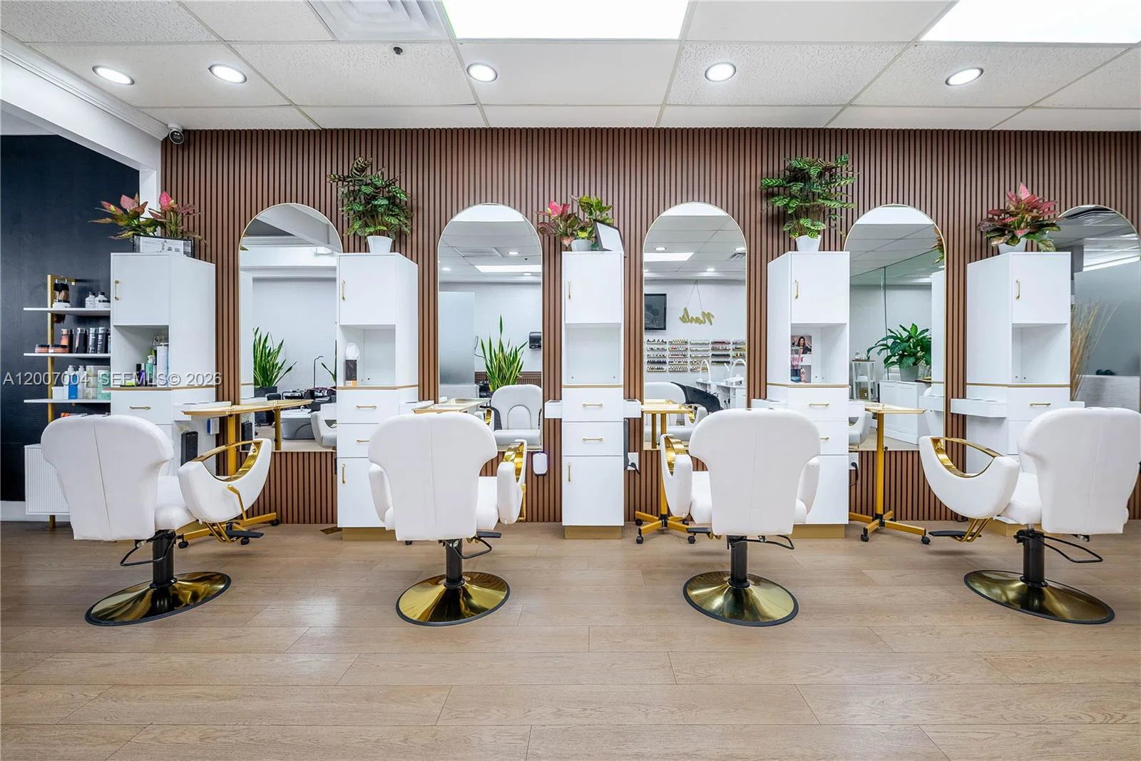 Luxury Salon Assets with High End Finishes and Custom Fixtures