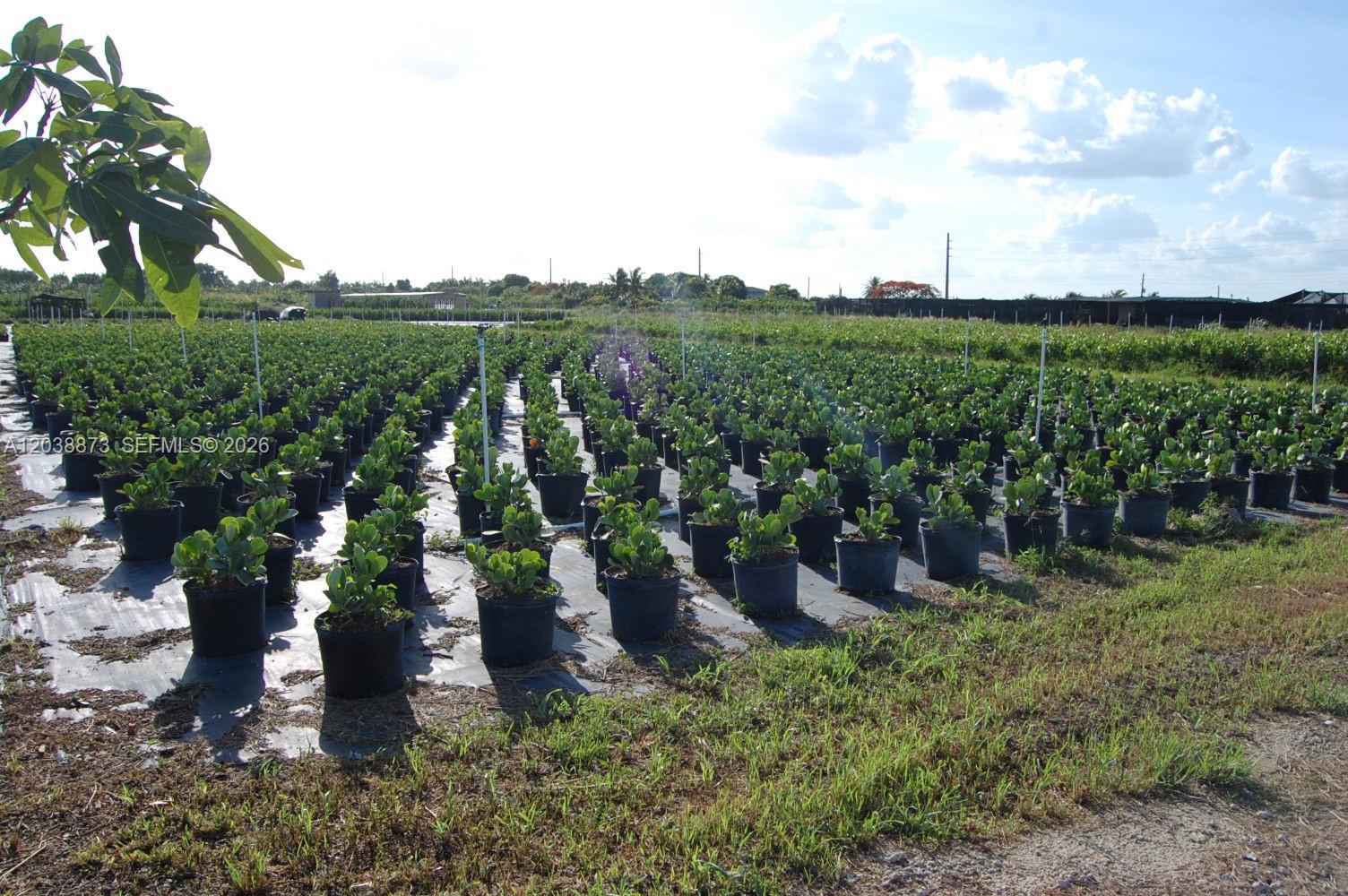 Complete Nursery and Garden Center Assets with Extensive Plant Inventory