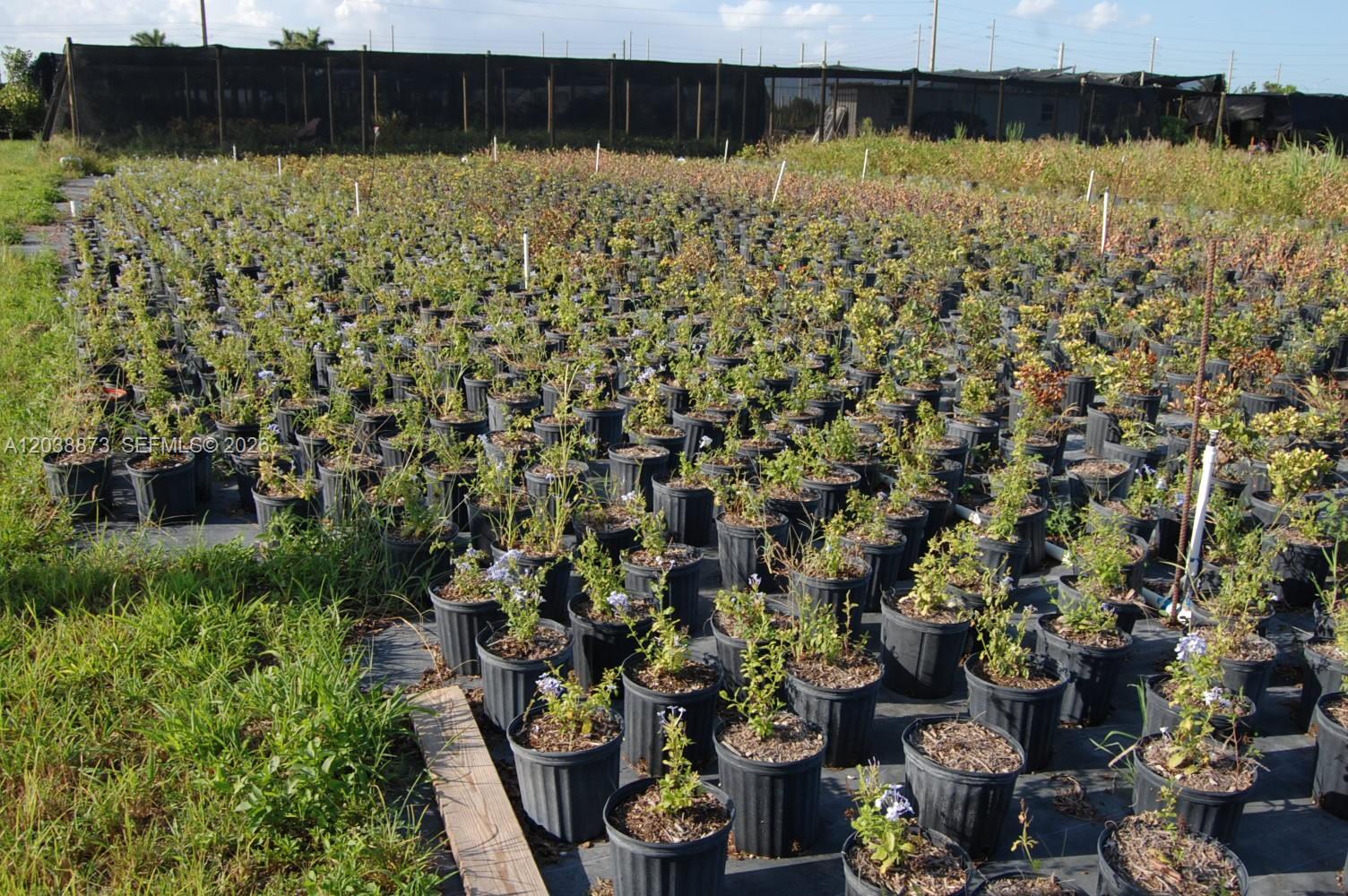 Complete Nursery and Garden Center Assets with Extensive Plant Inventory