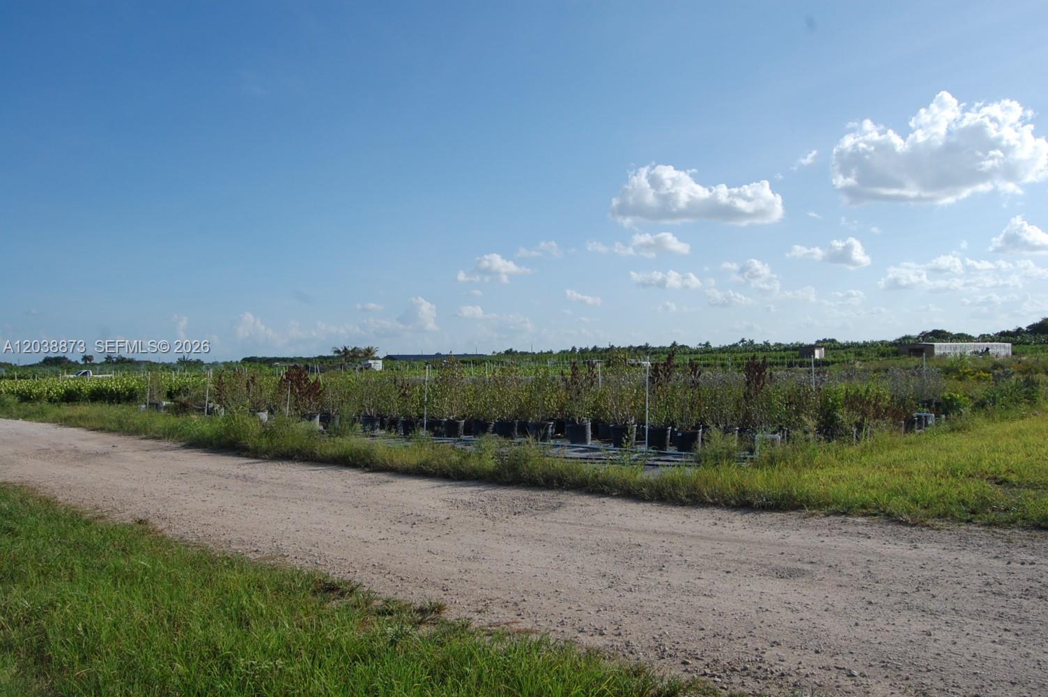 Complete Nursery and Garden Center Assets with Extensive Plant Inventory