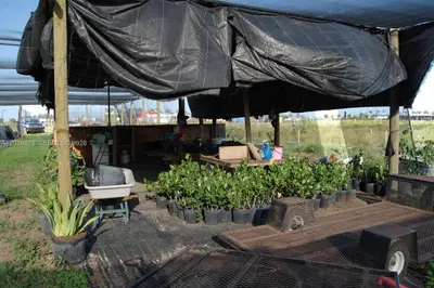 Complete Nursery and Garden Center Assets with Extensive Plant Inventory