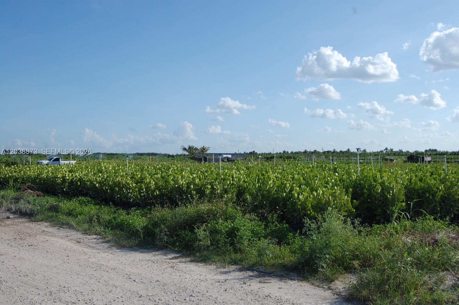 Complete Nursery and Garden Center Assets with Extensive Plant Inventory