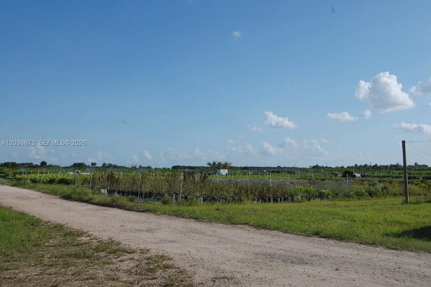 Complete Nursery and Garden Center Assets with Extensive Plant Inventory