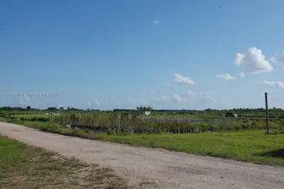 Complete Nursery and Garden Center Assets with Extensive Plant Inventory