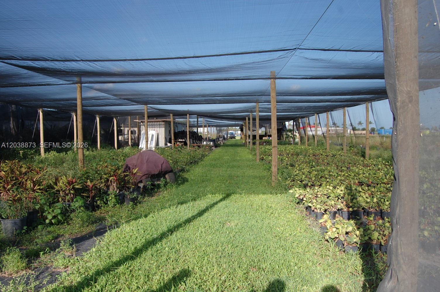 Complete Nursery and Garden Center Assets with Extensive Plant Inventory
