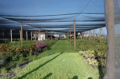 Complete Nursery and Garden Center Assets with Extensive Plant Inventory