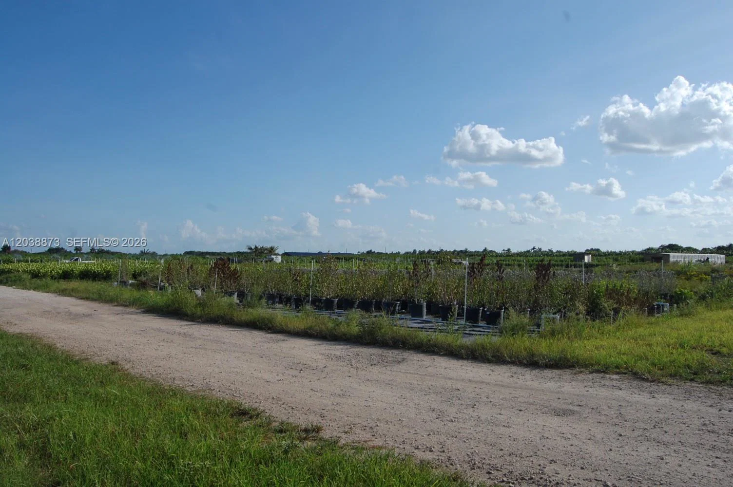 Complete Nursery and Garden Center Assets with Extensive Plant Inventory