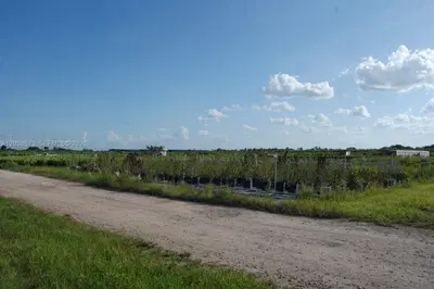 Complete Nursery and Garden Center Assets with Extensive Plant Inventory