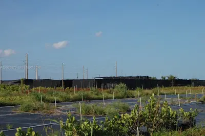 Complete Nursery and Garden Center Assets with Extensive Plant Inventory