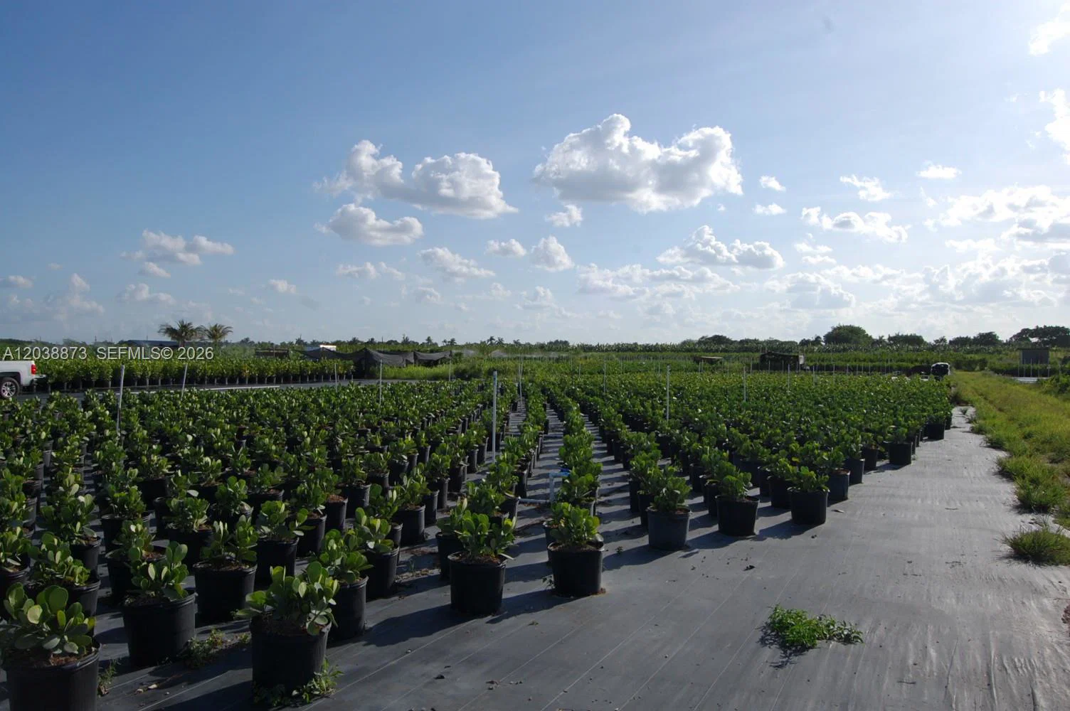Complete Nursery and Garden Center Assets with Extensive Plant Inventory