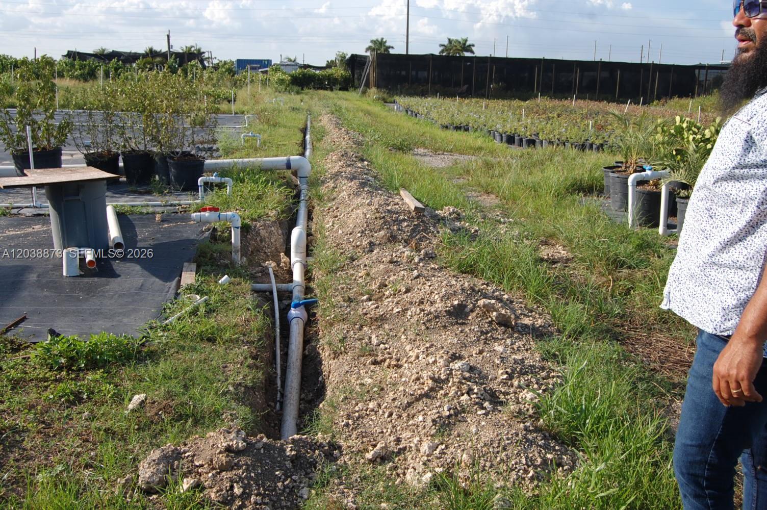Complete Nursery and Garden Center Assets with Extensive Plant Inventory