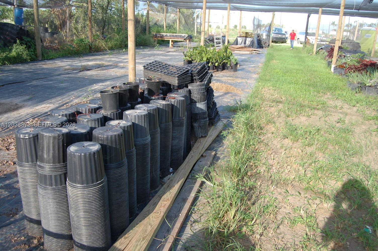 Complete Nursery and Garden Center Assets with Extensive Plant Inventory