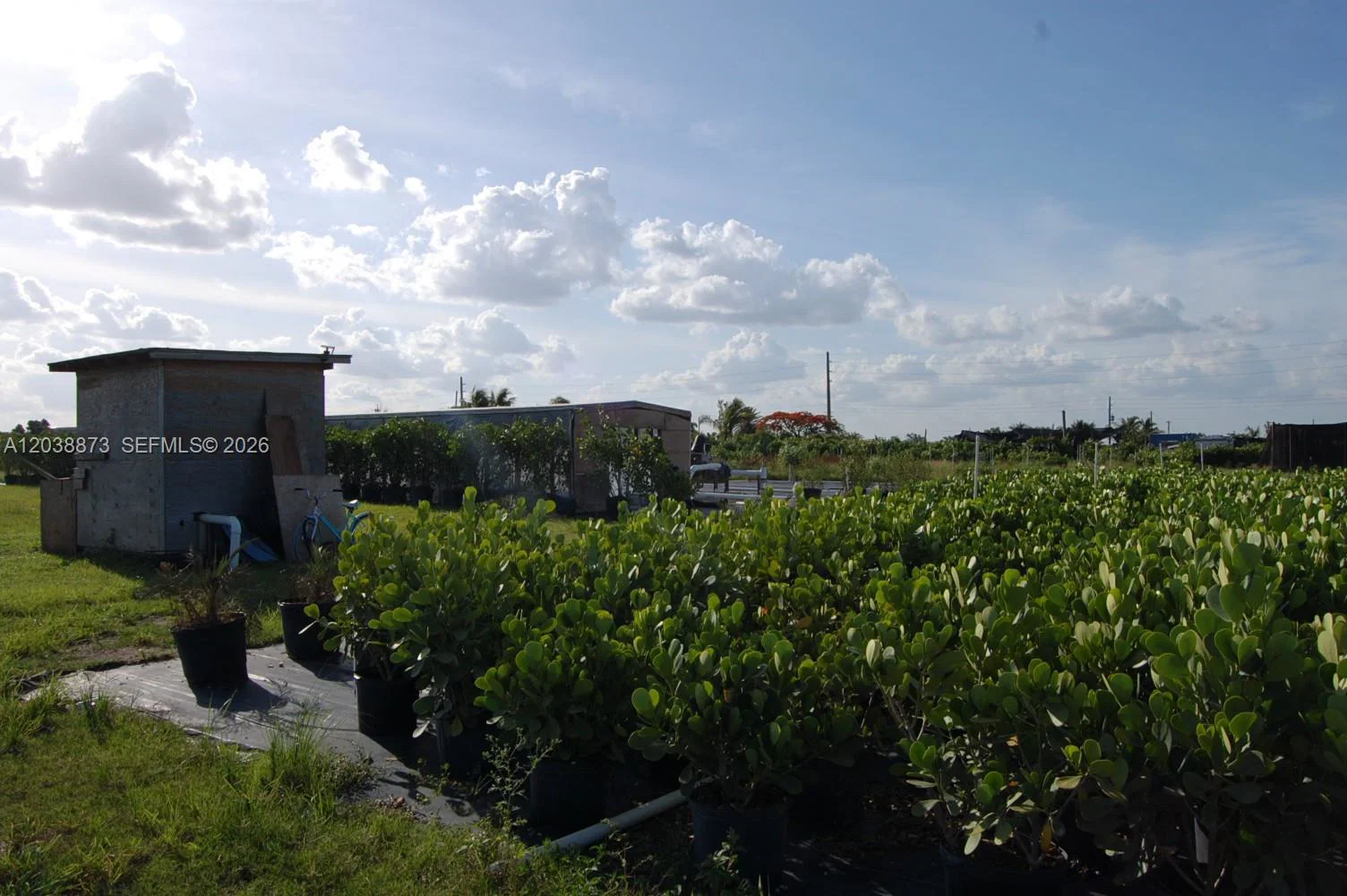 Complete Nursery and Garden Center Assets with Extensive Plant Inventory