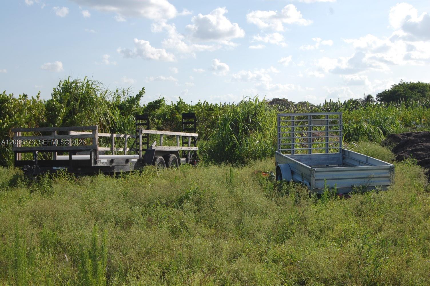 Complete Nursery and Garden Center Assets with Extensive Plant Inventory