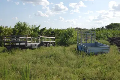 Complete Nursery and Garden Center Assets with Extensive Plant Inventory