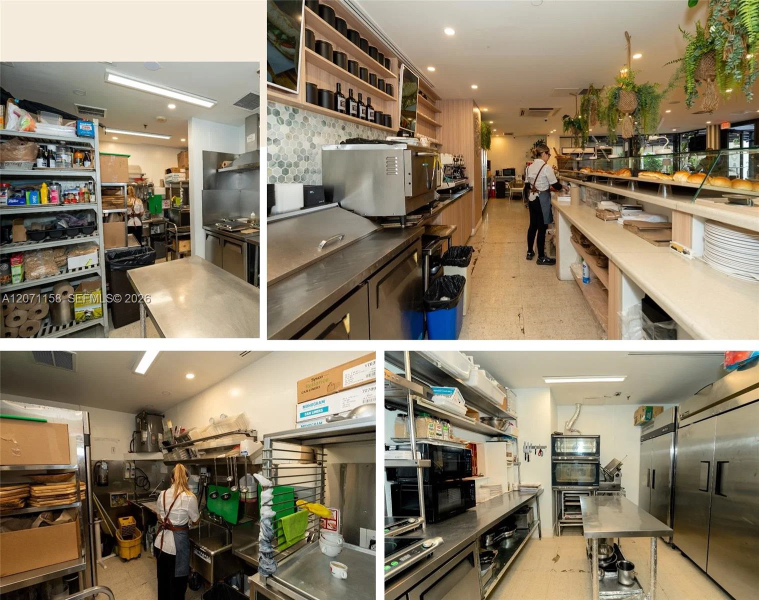 Premier Multi Location Artisan Bakery  Caf Brand with Central Production