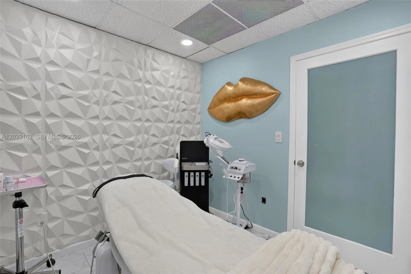 Profitable Laser  Electrolysis Clinic with Loyal Clientele