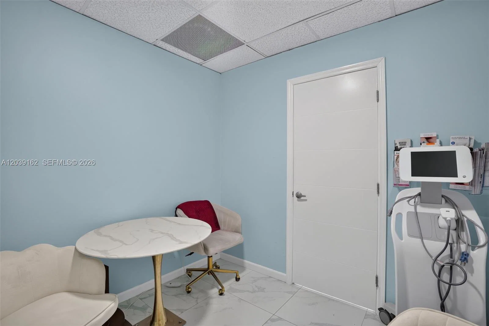 Profitable Laser  Electrolysis Clinic with Loyal Clientele
