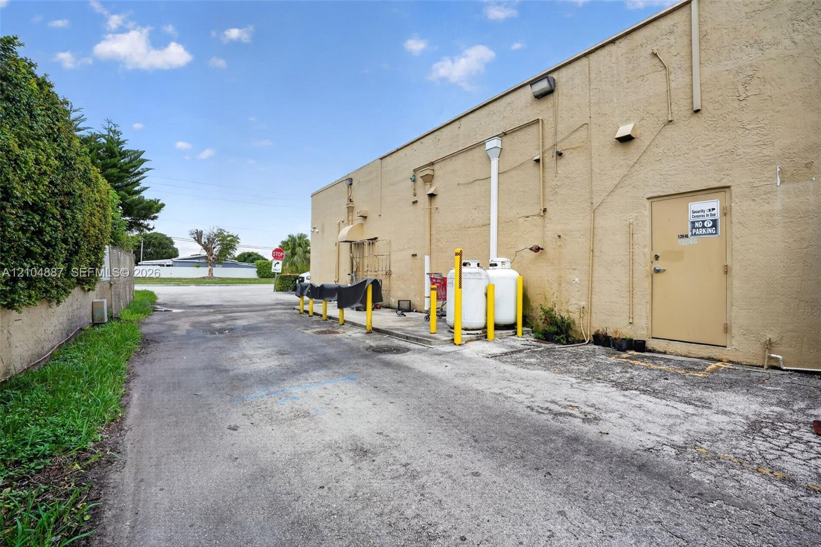 Complete Botnica Asset Package with Online Sales Ready Website