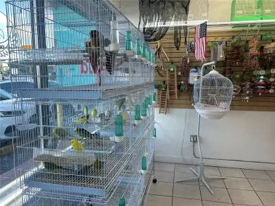 Turnkey Pet Store with Prime Retail Location