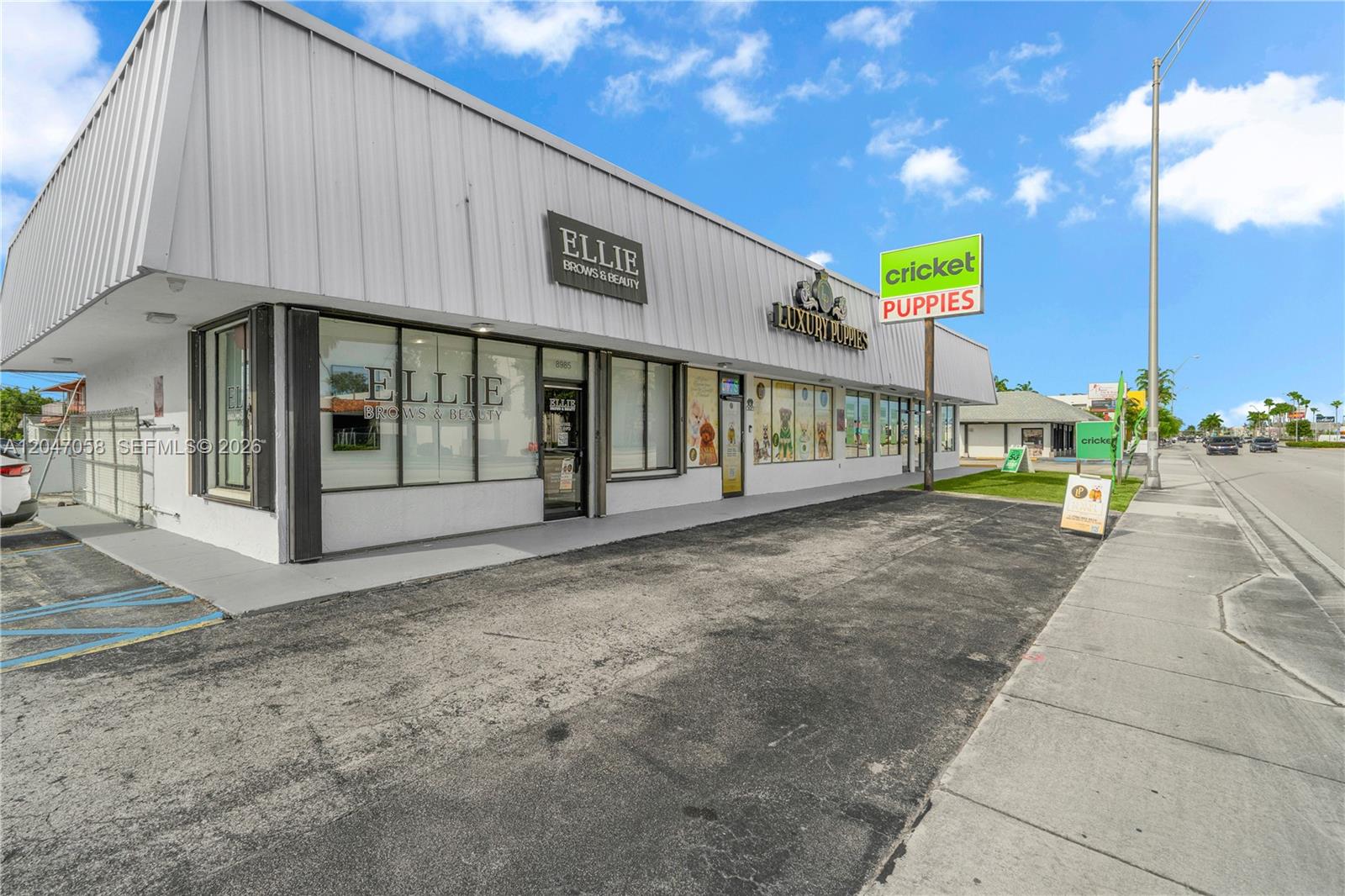 Established Luxury Pet Boutique with Loyal Customer Base