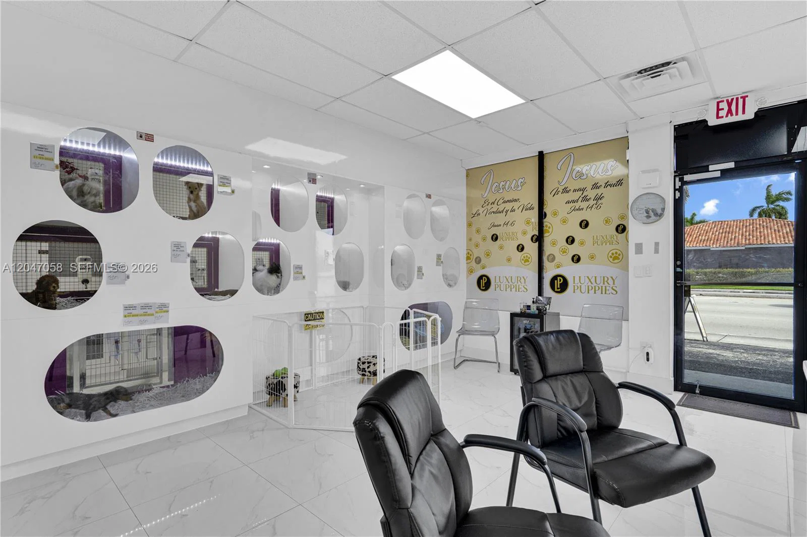 Established Luxury Pet Boutique with Loyal Customer Base