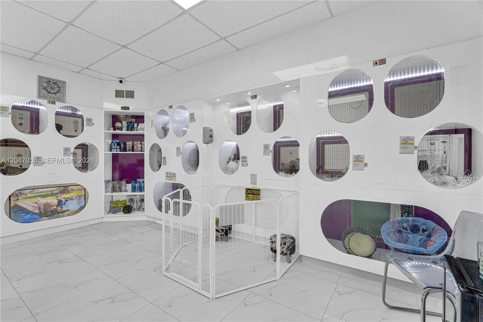 Established Luxury Pet Boutique with Loyal Customer Base