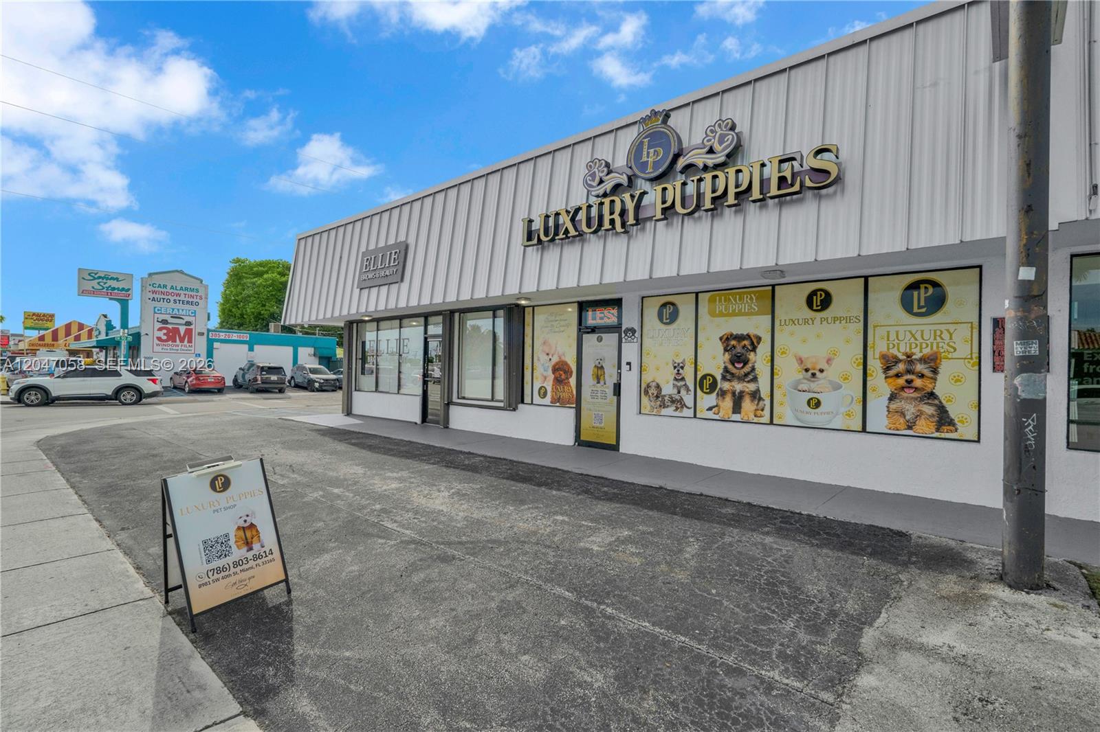 Established Luxury Pet Boutique with Loyal Customer Base