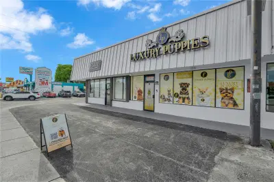 Established Luxury Pet Boutique with Loyal Customer Base