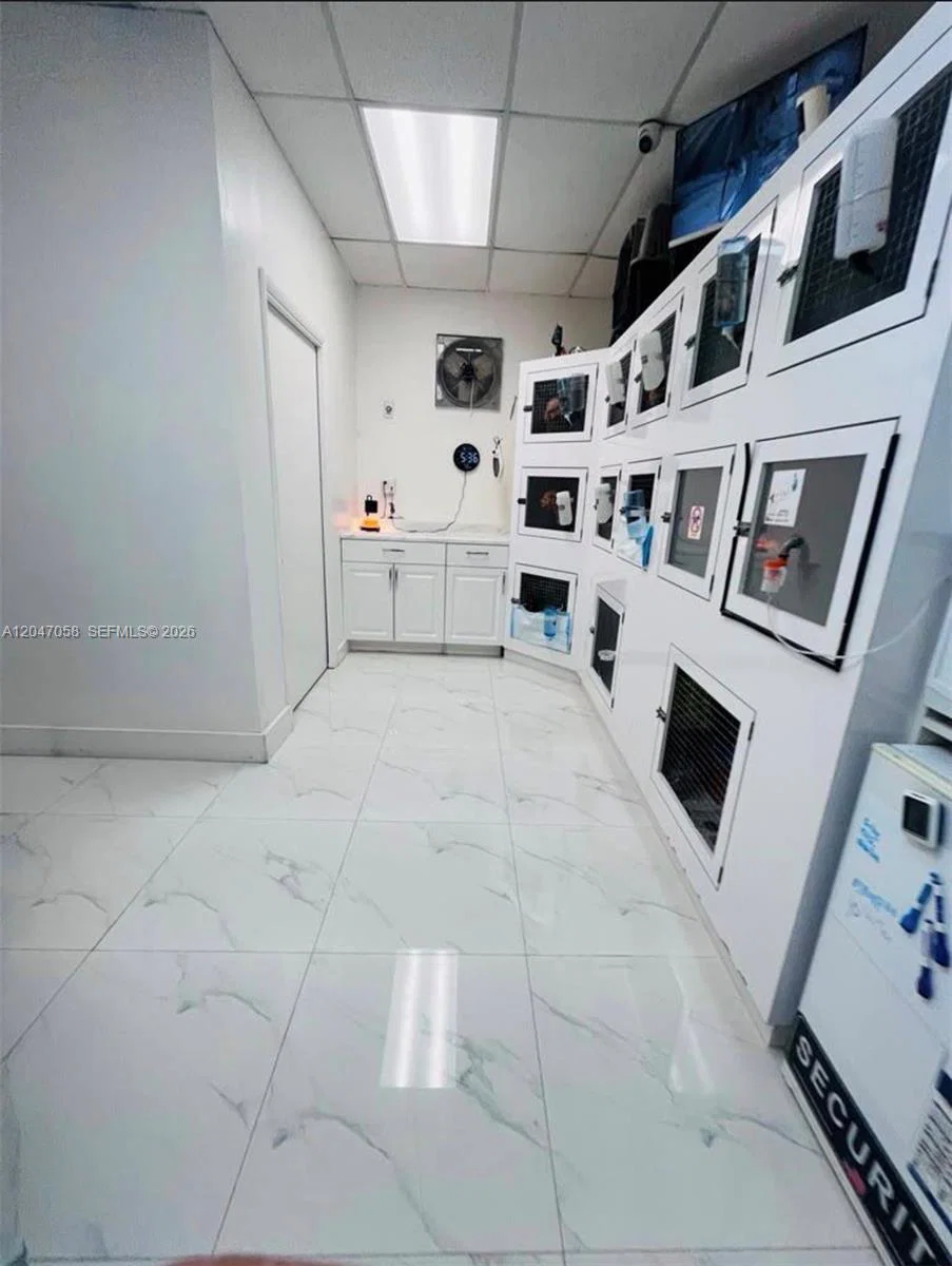 Established Luxury Pet Boutique with Loyal Customer Base